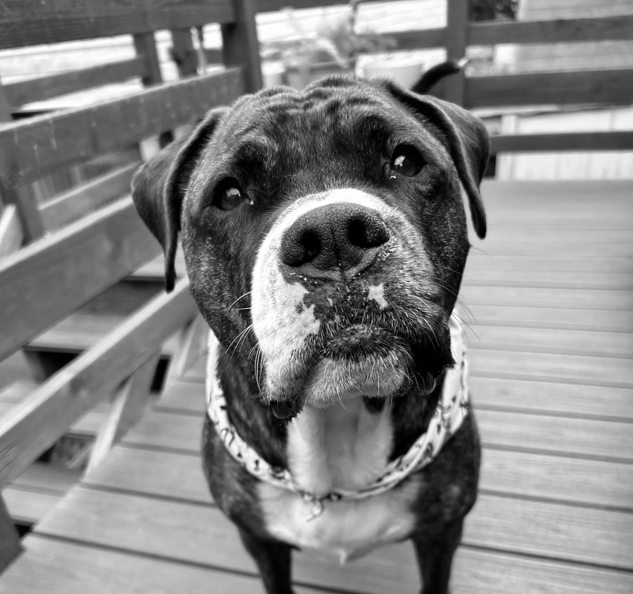 Charlie